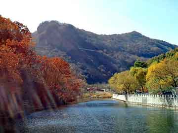 天天彩好彩天天免费，租房在阳台发现墓碑